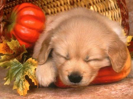 REPOS!!!!!!!!!!